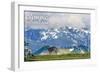 Olympic National Park - Deer and Hurricane Ridge-Lantern Press-Framed Art Print