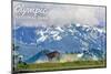 Olympic National Park - Deer and Hurricane Ridge-Lantern Press-Mounted Art Print