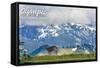 Olympic National Park - Deer and Hurricane Ridge-Lantern Press-Framed Stretched Canvas