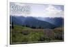 Olympic National Park - Hurricane Ridge and Flowers-Lantern Press-Framed Art Print