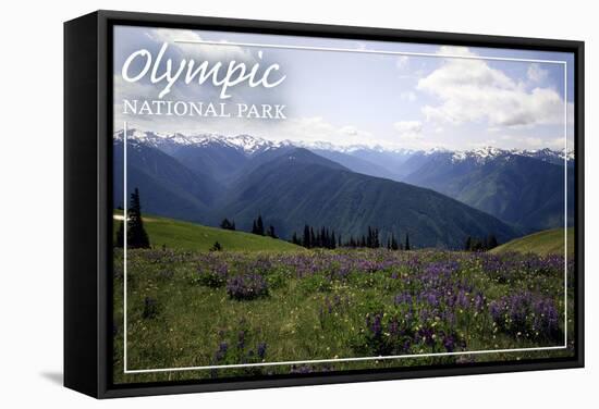 Olympic National Park - Hurricane Ridge and Flowers-Lantern Press-Framed Stretched Canvas
