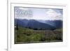 Olympic National Park - Hurricane Ridge and Flowers-Lantern Press-Framed Art Print