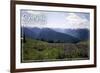 Olympic National Park - Hurricane Ridge and Flowers-Lantern Press-Framed Art Print