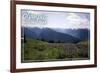 Olympic National Park - Hurricane Ridge and Flowers-Lantern Press-Framed Art Print