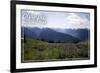 Olympic National Park - Hurricane Ridge and Flowers-Lantern Press-Framed Art Print