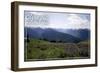 Olympic National Park - Hurricane Ridge and Flowers-Lantern Press-Framed Art Print