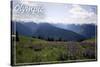 Olympic National Park - Hurricane Ridge and Flowers-Lantern Press-Stretched Canvas