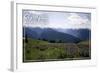 Olympic National Park - Hurricane Ridge and Flowers-Lantern Press-Framed Art Print