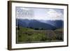 Olympic National Park - Hurricane Ridge and Flowers-Lantern Press-Framed Art Print