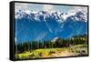 Olympic National Park - Hurricane Ridge Visitor Center-Lantern Press-Framed Stretched Canvas