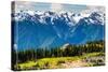 Olympic National Park - Hurricane Ridge Visitor Center-Lantern Press-Stretched Canvas