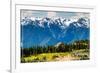 Olympic National Park - Hurricane Ridge Visitor Center-Lantern Press-Framed Premium Giclee Print