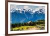 Olympic National Park - Hurricane Ridge Visitor Center-Lantern Press-Framed Premium Giclee Print