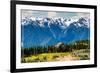 Olympic National Park - Hurricane Ridge Visitor Center-Lantern Press-Framed Premium Giclee Print