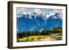 Olympic National Park - Hurricane Ridge Visitor Center-Lantern Press-Framed Art Print