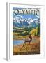 Olympic National Park - Hurricane Ridge-Lantern Press-Framed Art Print