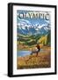 Olympic National Park - Hurricane Ridge-Lantern Press-Framed Art Print