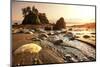 Olympic National Park Landscapes-Galyna Andrushko-Mounted Photographic Print