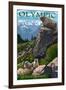 Olympic National Park - Marmots-Lantern Press-Framed Art Print