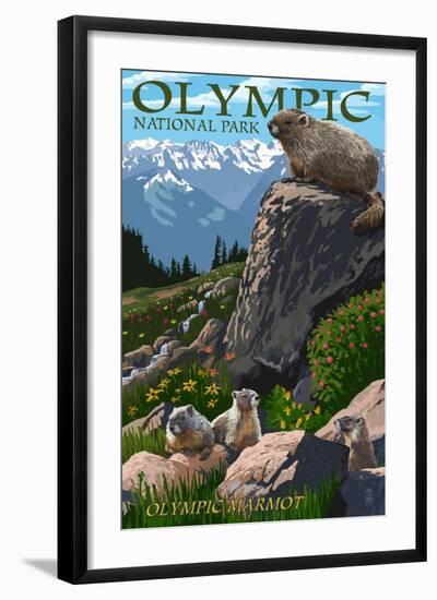 Olympic National Park - Marmots-Lantern Press-Framed Art Print