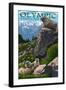 Olympic National Park - Marmots-Lantern Press-Framed Art Print