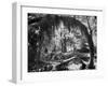 Olympic National Park Showing Rain Forest Conditions with Tree Bending under the Weight of Moss-Loomis Dean-Framed Photographic Print