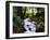 Olympic National Park Stream-James Randklev-Framed Photographic Print