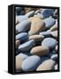 Olympic National Park, Wa: Blue and Brown Stones Found on Ruby Beach-Brad Beck-Framed Stretched Canvas