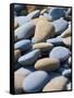 Olympic National Park, Wa: Blue and Brown Stones Found on Ruby Beach-Brad Beck-Framed Stretched Canvas