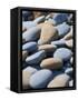Olympic National Park, Wa: Blue and Brown Stones Found on Ruby Beach-Brad Beck-Framed Stretched Canvas