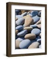 Olympic National Park, Wa: Blue and Brown Stones Found on Ruby Beach-Brad Beck-Framed Photographic Print