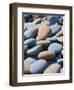 Olympic National Park, Wa: Blue and Brown Stones Found on Ruby Beach-Brad Beck-Framed Photographic Print