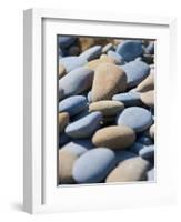 Olympic National Park, Wa: Blue and Brown Stones Found on Ruby Beach-Brad Beck-Framed Photographic Print