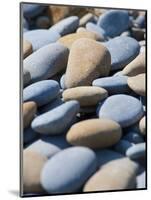Olympic National Park, Wa: Blue and Brown Stones Found on Ruby Beach-Brad Beck-Mounted Photographic Print