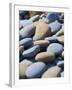 Olympic National Park, Wa: Blue and Brown Stones Found on Ruby Beach-Brad Beck-Framed Photographic Print