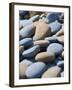 Olympic National Park, Wa: Blue and Brown Stones Found on Ruby Beach-Brad Beck-Framed Photographic Print