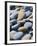 Olympic National Park, Wa: Blue and Brown Stones Found on Ruby Beach-Brad Beck-Framed Photographic Print