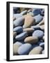 Olympic National Park, Wa: Blue and Brown Stones Found on Ruby Beach-Brad Beck-Framed Photographic Print