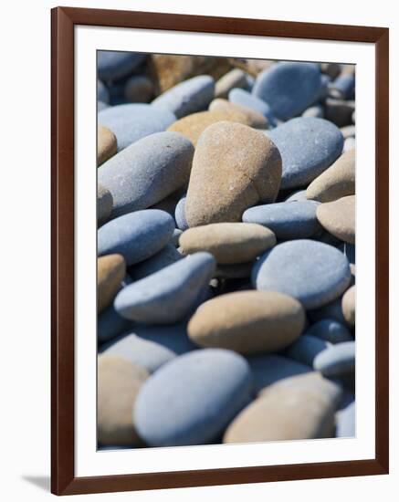 Olympic National Park, Wa: Blue and Brown Stones Found on Ruby Beach-Brad Beck-Framed Photographic Print