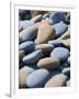 Olympic National Park, Wa: Blue and Brown Stones Found on Ruby Beach-Brad Beck-Framed Photographic Print