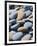 Olympic National Park, Wa: Blue and Brown Stones Found on Ruby Beach-Brad Beck-Framed Photographic Print