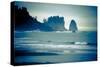 Olympic National Park, Wa: Surfers Brave the Cold Water of the Shore of La Push, Washington-Brad Beck-Stretched Canvas