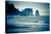 Olympic National Park, Wa: Surfers Brave the Cold Water of the Shore of La Push, Washington-Brad Beck-Stretched Canvas