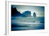 Olympic National Park, Wa: Surfers Brave the Cold Water of the Shore of La Push, Washington-Brad Beck-Framed Photographic Print