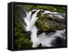 Olympic National Park, Wa: Water Flowing over Rocks Creating the Sol Duc Falls.-Brad Beck-Framed Stretched Canvas