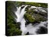 Olympic National Park, Wa: Water Flowing over Rocks Creating the Sol Duc Falls.-Brad Beck-Stretched Canvas