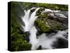 Olympic National Park, Wa: Water Flowing over Rocks Creating the Sol Duc Falls.-Brad Beck-Stretched Canvas