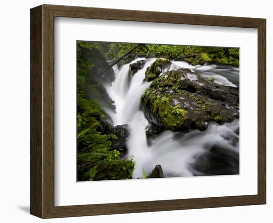 Olympic National Park, Wa: Water Flowing over Rocks Creating the Sol Duc Falls.-Brad Beck-Framed Photographic Print