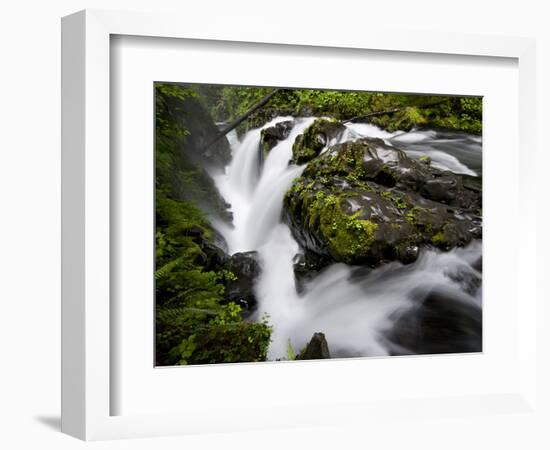 Olympic National Park, Wa: Water Flowing over Rocks Creating the Sol Duc Falls.-Brad Beck-Framed Photographic Print