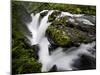 Olympic National Park, Wa: Water Flowing over Rocks Creating the Sol Duc Falls.-Brad Beck-Mounted Photographic Print